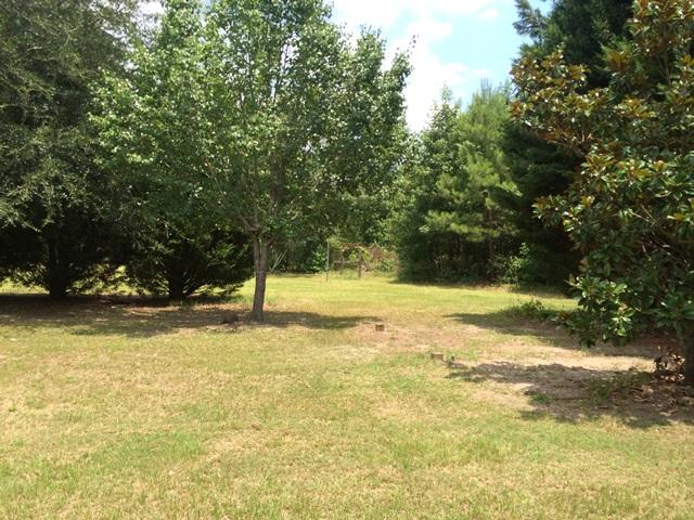 182 Creek Road Reevesville, SC 29471 - Photo 3 of 9 Backyard