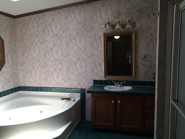 182 Creek Road Reevesville, SC 29471 - Photo 8 of 9 Master Bathroom