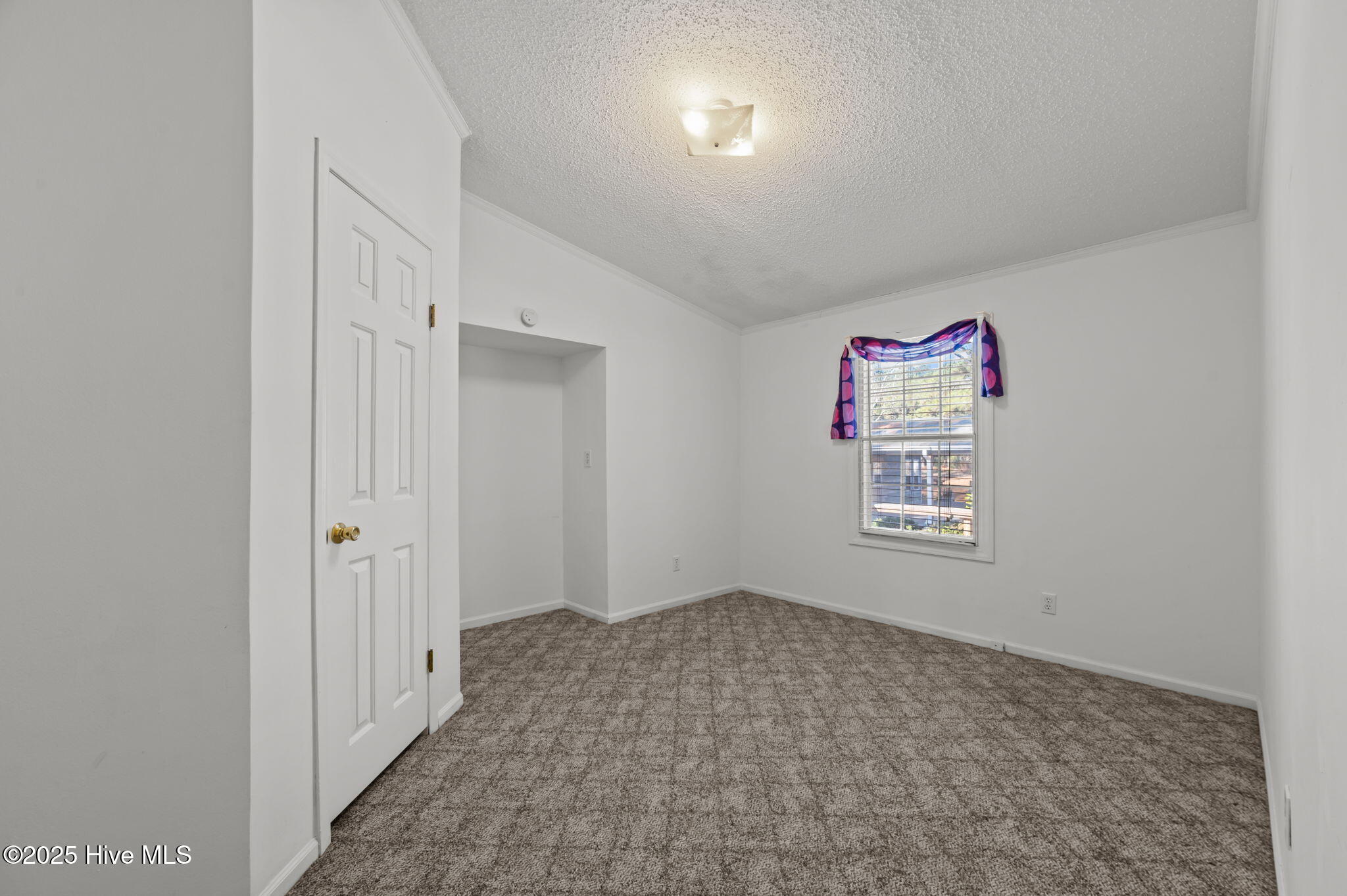 42 Low Tide Road Bath, NC 27808 - Photo 24 of 33 41-web-or-mls-LHV_6506