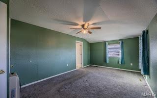 12112 Highway 17 Roby, MO 65557 - Photo 17 of 47