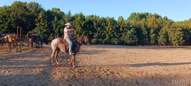 $365,000 | 12112 Highway 17, Roby, MO 65557