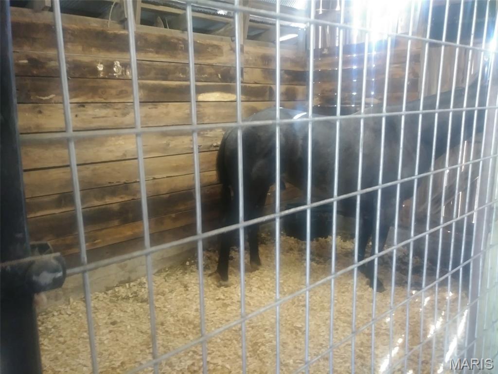 12112 Highway 17 Roby, MO 65557 - Photo 45 of 47