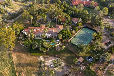 a picture of flowers