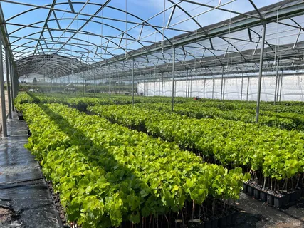 $4,995,000 | 2208 Olivet Road, Santa Rosa, CA 95401