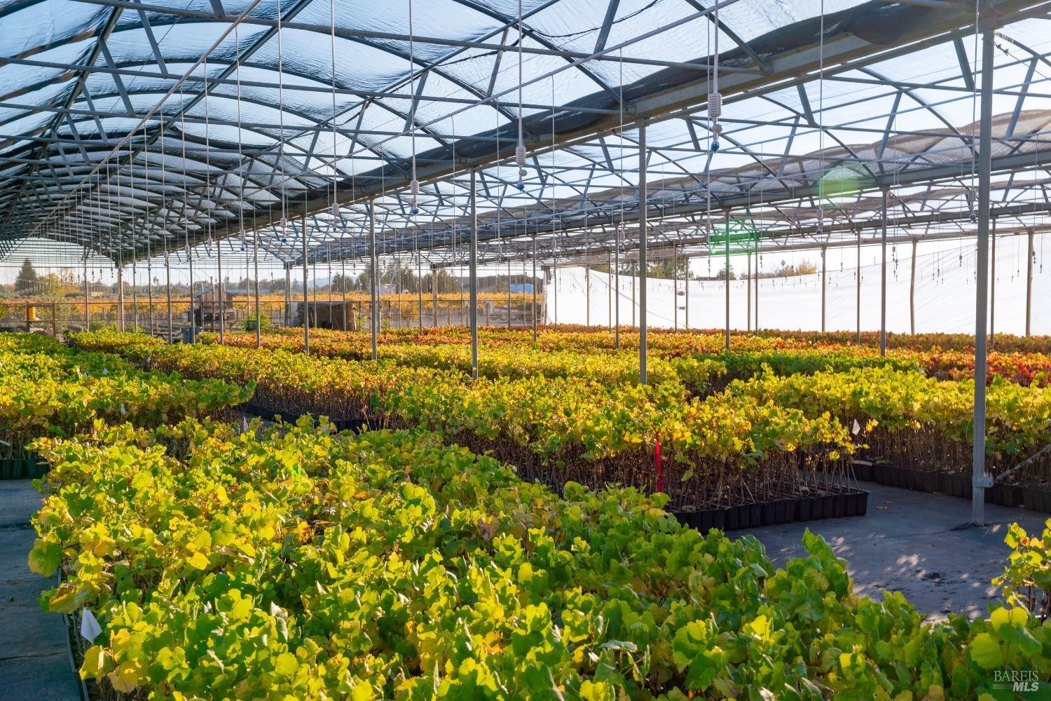 2208 Olivet Road Santa Rosa, CA 95401 - Photo 7 of 68