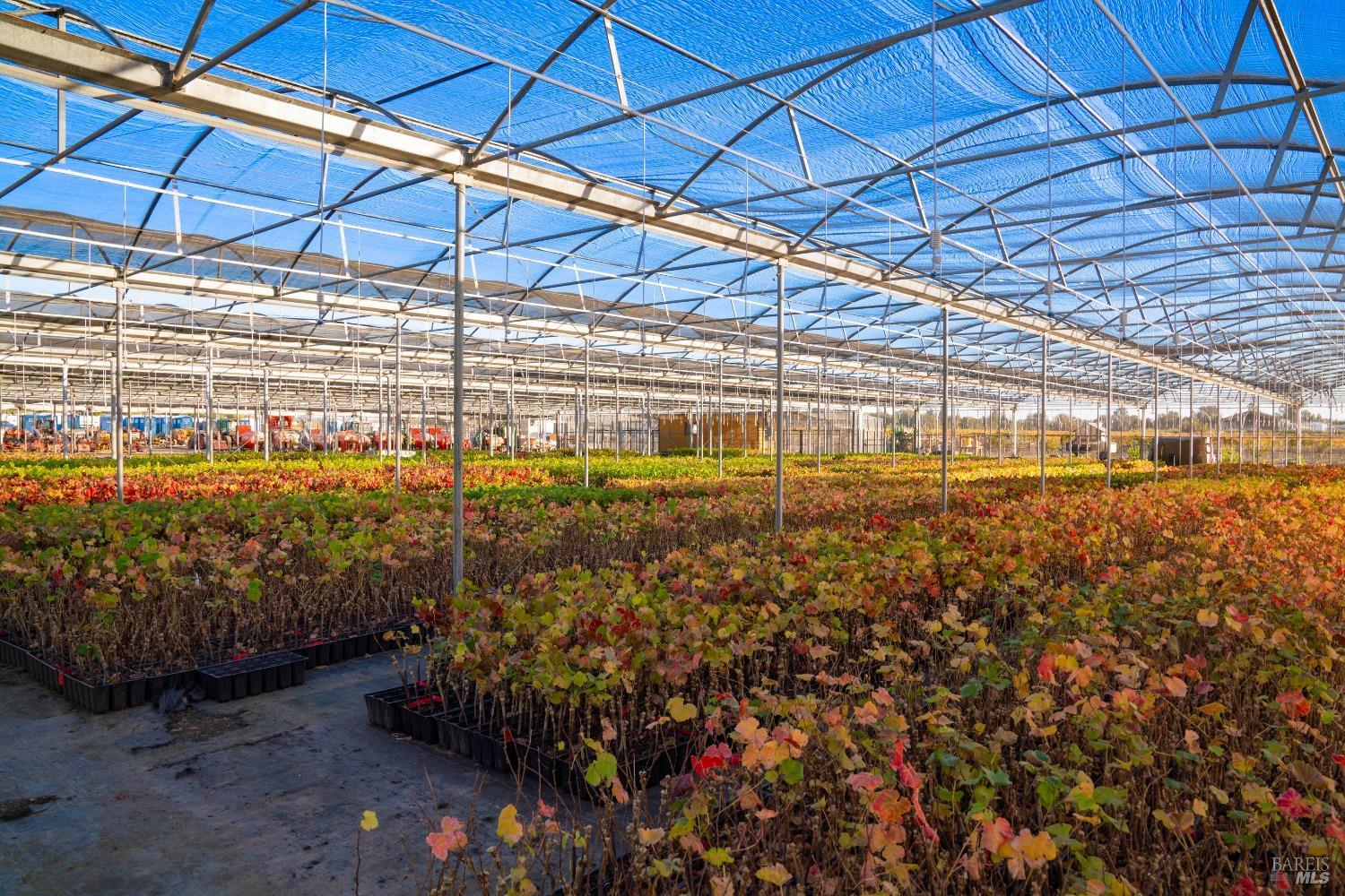 2208 Olivet Road Santa Rosa, CA 95401 - Photo 8 of 68