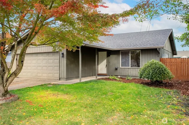 a backyard of a house with plants and large tree