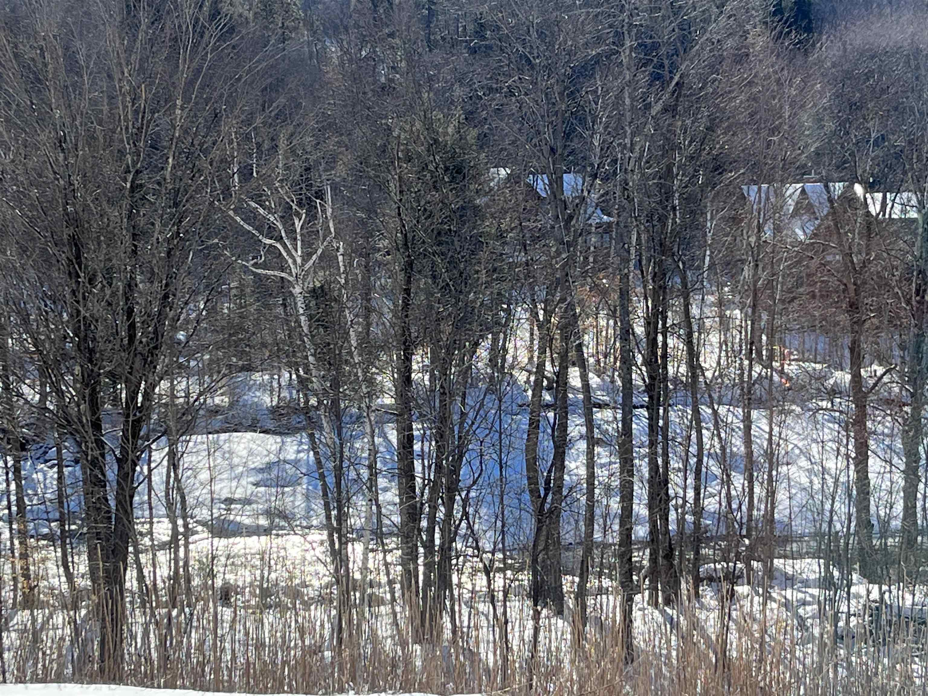 36 Lodge Road, Unit D102 Lincoln, NH 03251 - Photo 2 of 41 Gallery Image 2