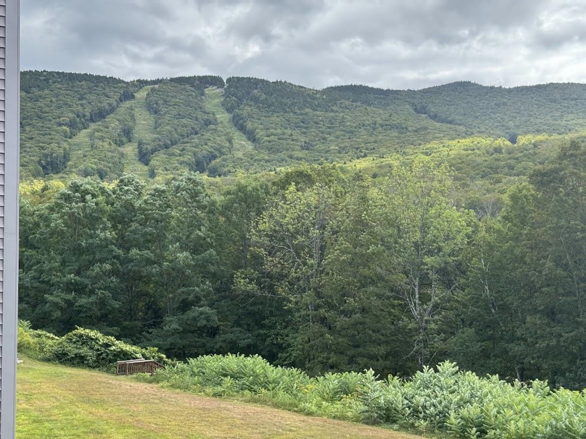 36 Lodge Road, Unit D102 Lincoln, NH 03251 - Photo 25 of 41 Gallery Image 25