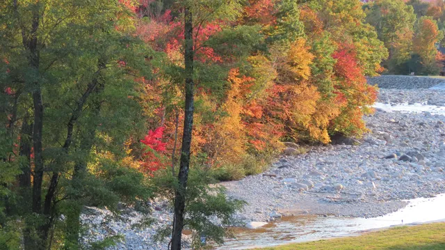 $275,000 | 36 Lodge Road, Unit D102, Lincoln, NH 03251