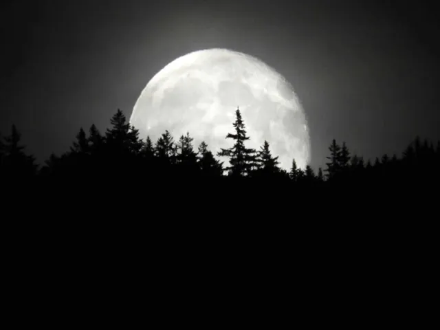 $275,000 | 36 Lodge Road, Unit D102, Lincoln, NH 03251