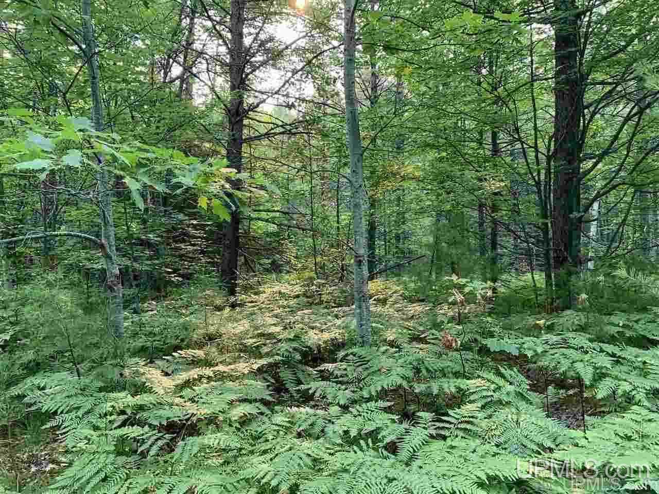 Lot 8 Powell Lake Road Wetmore, MI 49895 - Photo 1 of 6 Gallery Image 1