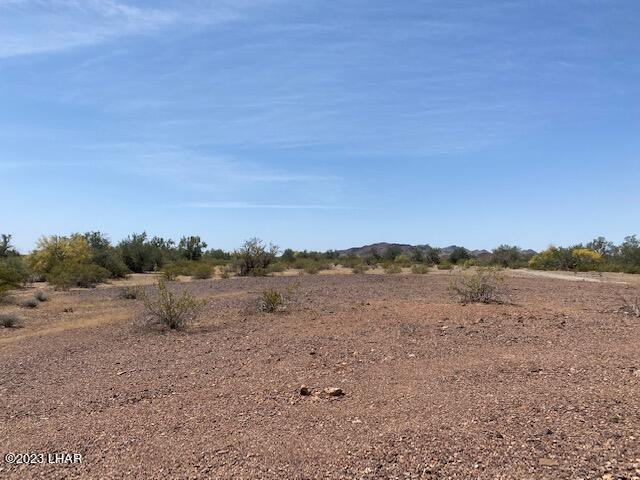 25560 La Posa Road Bouse, AZ 85325 - Photo 18 of 24 IMG_1723 (1)