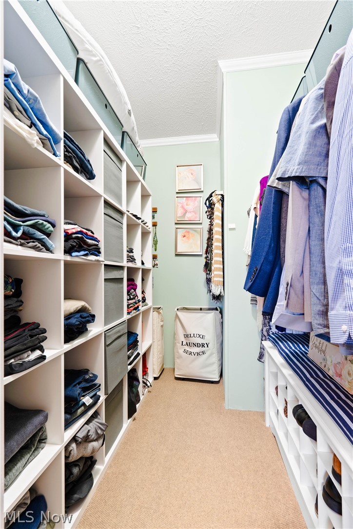 18592 Edwards Road, Unit 122 Doylestown, OH 44230 - Photo 14 of 27 Walk in closet with carpet floors