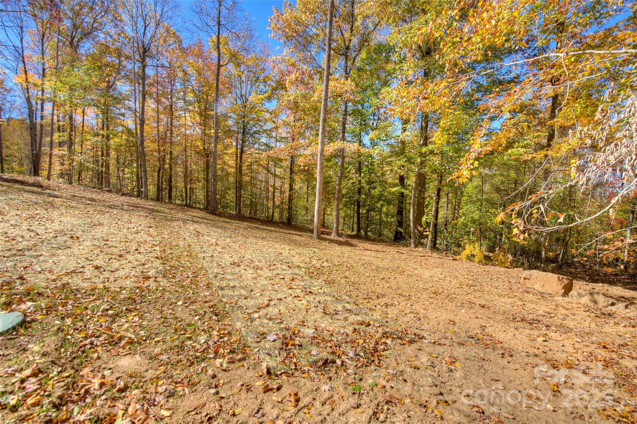 0 Pebble Ridge Road Spruce Pine, NC 28777 - Photo 23 of 26 a view of a yard with trees in front of it