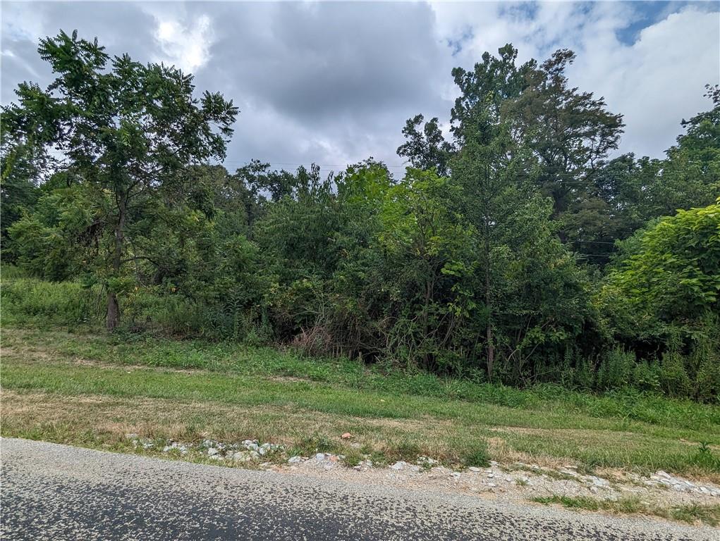 0 Chestnut Coal Center, PA 15022 - Photo 2 of 5 a view of a field with trees in the background