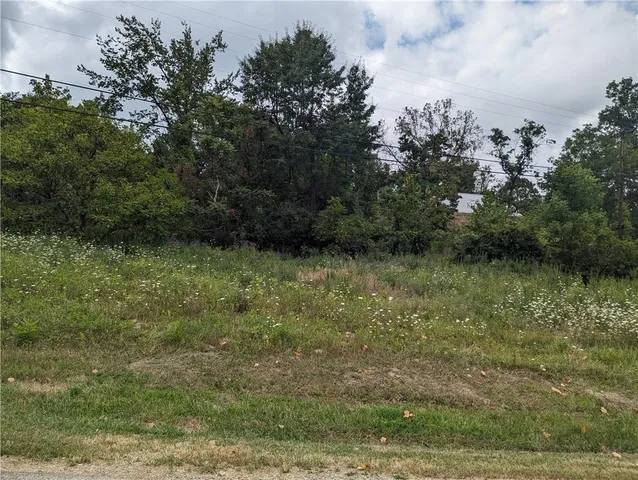 a view of outdoor space and a yard