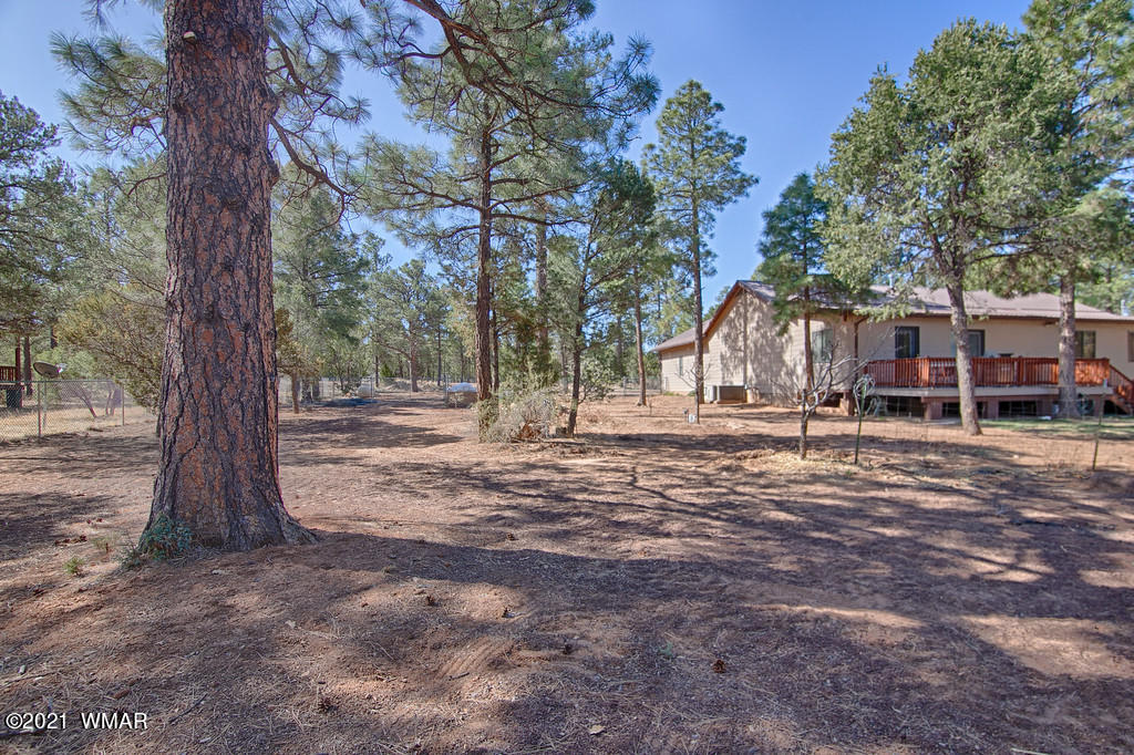 2092 Round-Up Road Overgaard, AZ 85933 - Photo 6 of 29 a view of a house with a yard and tree s