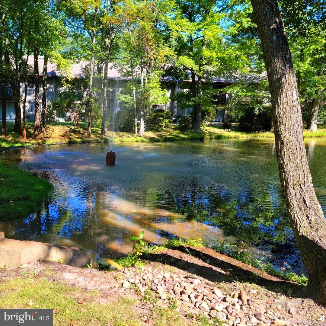 115 East Kings Highway, Unit 221 Maple Shade, NJ 08052 - Photo 17 of 19 Views of the grounds