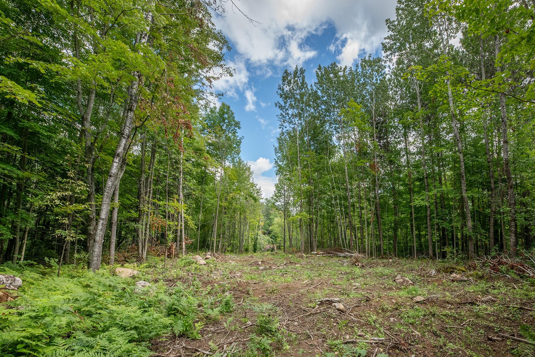 3160 Germond Road Rhinelander, WI 54501 - Photo 54 of 56 Gallery Image 54