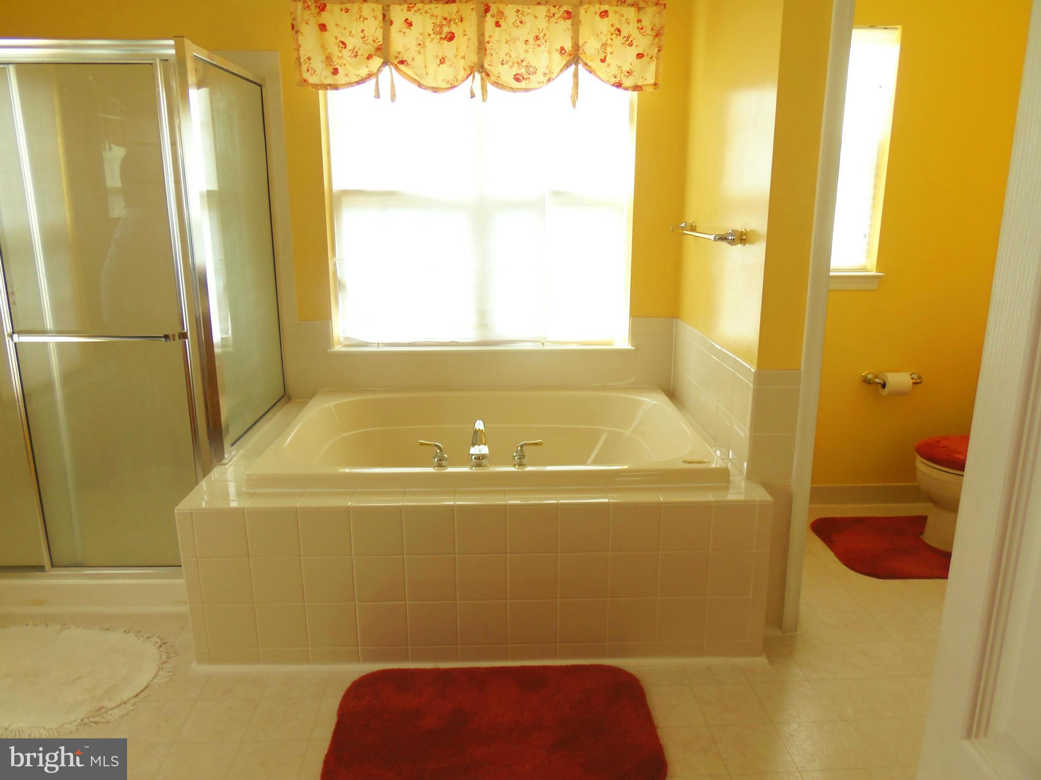 3514 Granite Road Randallstown, MD 21133 - Photo 13 of 30 Bath (Master)