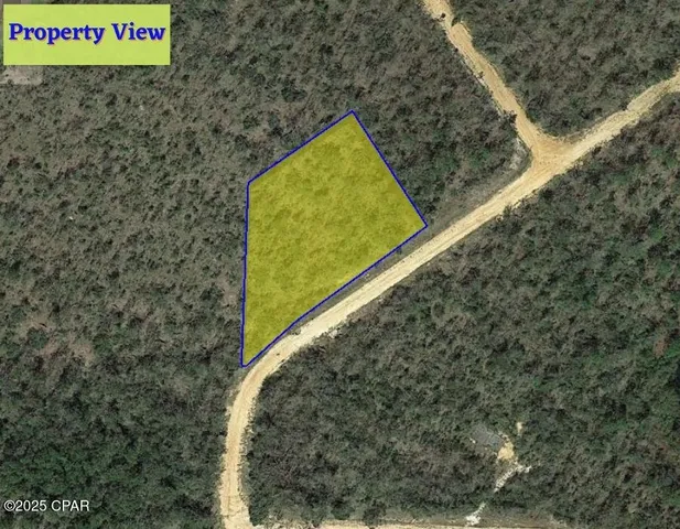 $10,900 | L35-b239 L35-b239 Olivia Drive, Unit 6, Alford, FL 32420