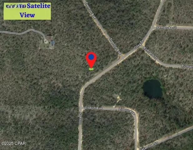 $10,900 | L35-b239 L35-b239 Olivia Drive, Unit 6, Alford, FL 32420