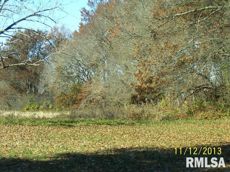 3445 Red Stripe Road Salem, IL 62881 - Photo 1 of 1