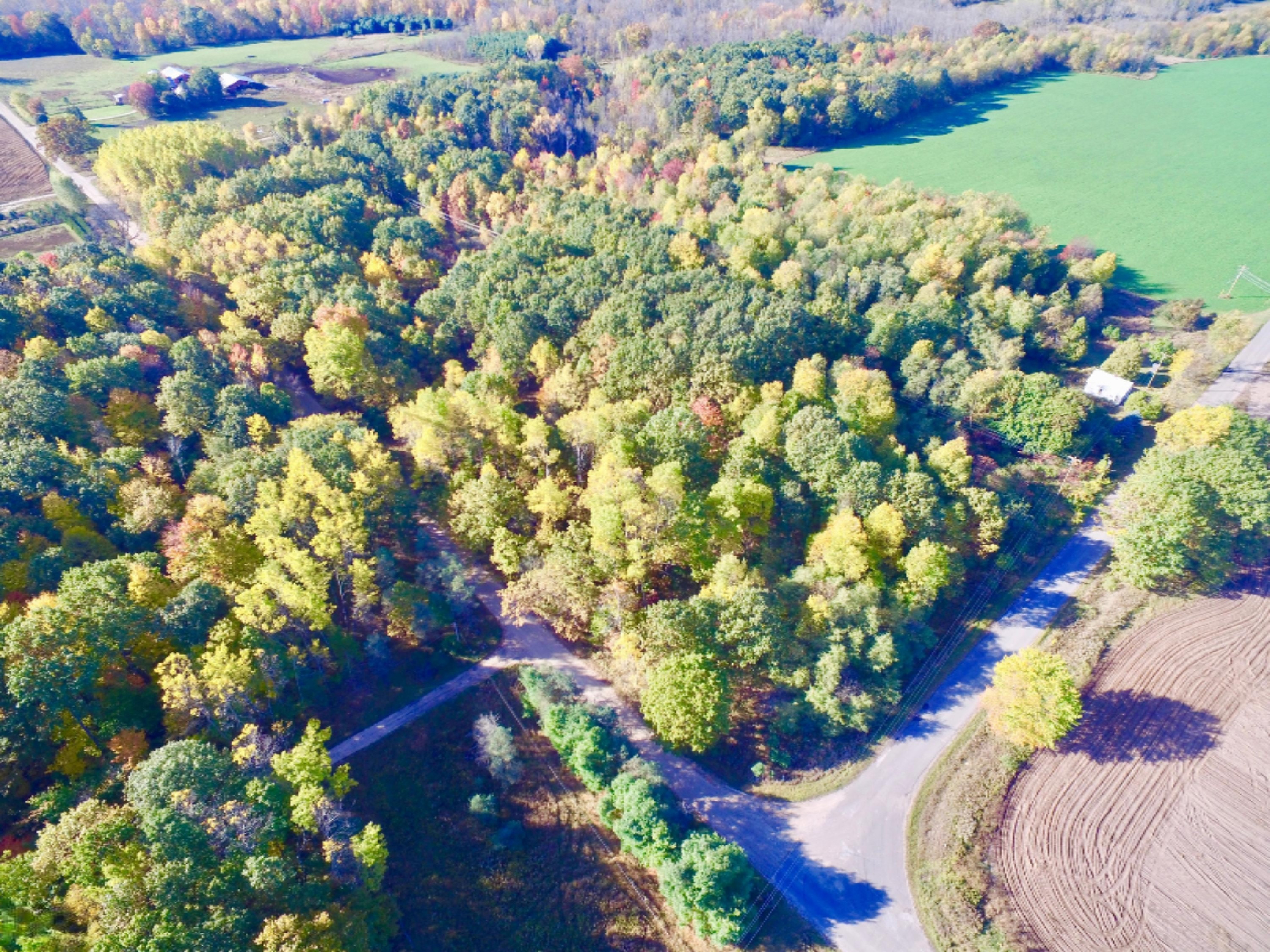 2085 Adams Road Blanchard, MI 49310 - Photo 1 of 17 2085 Adams3
