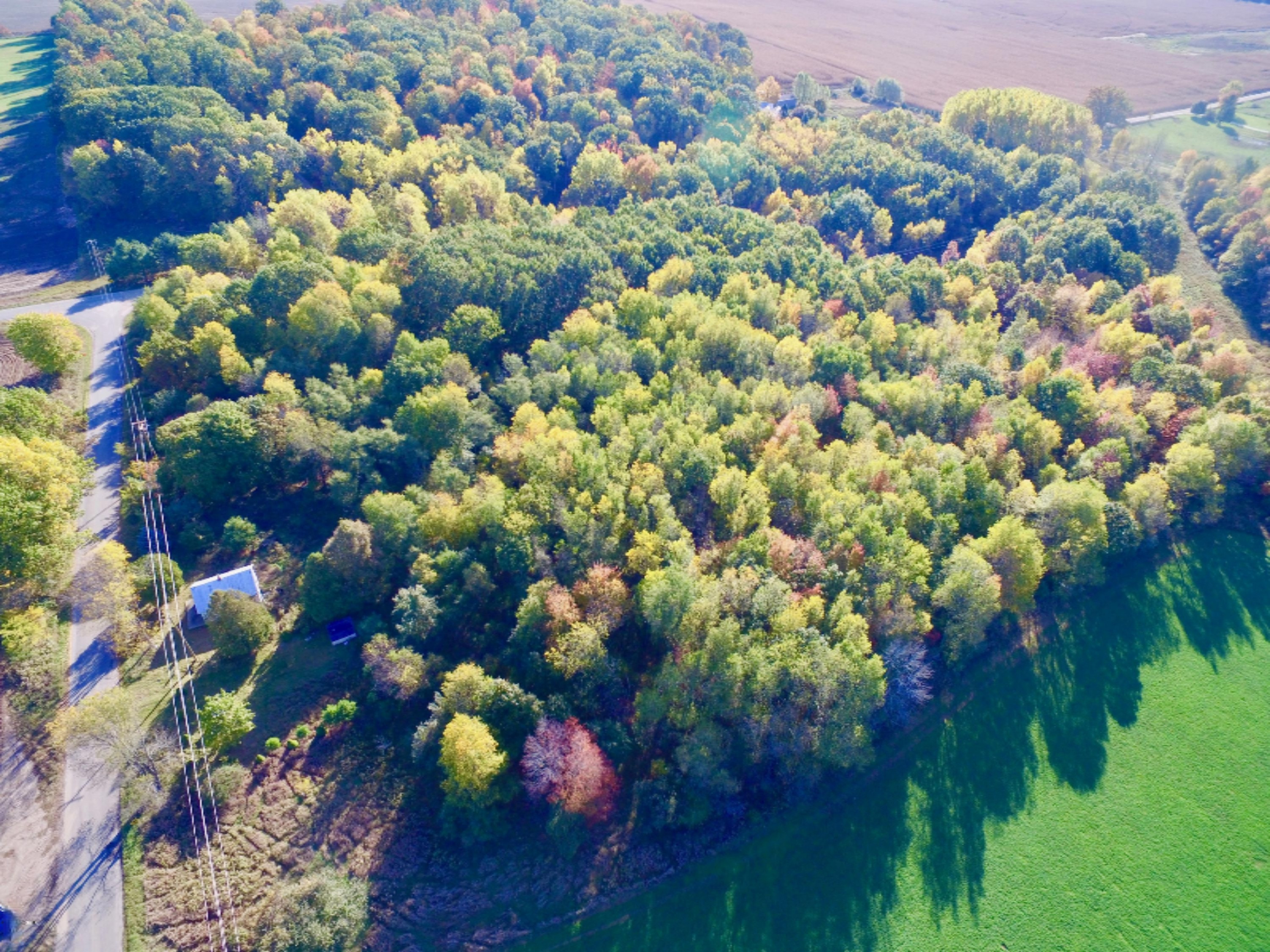 2085 Adams Road Blanchard, MI 49310 - Photo 6 of 17 2085 Adams2