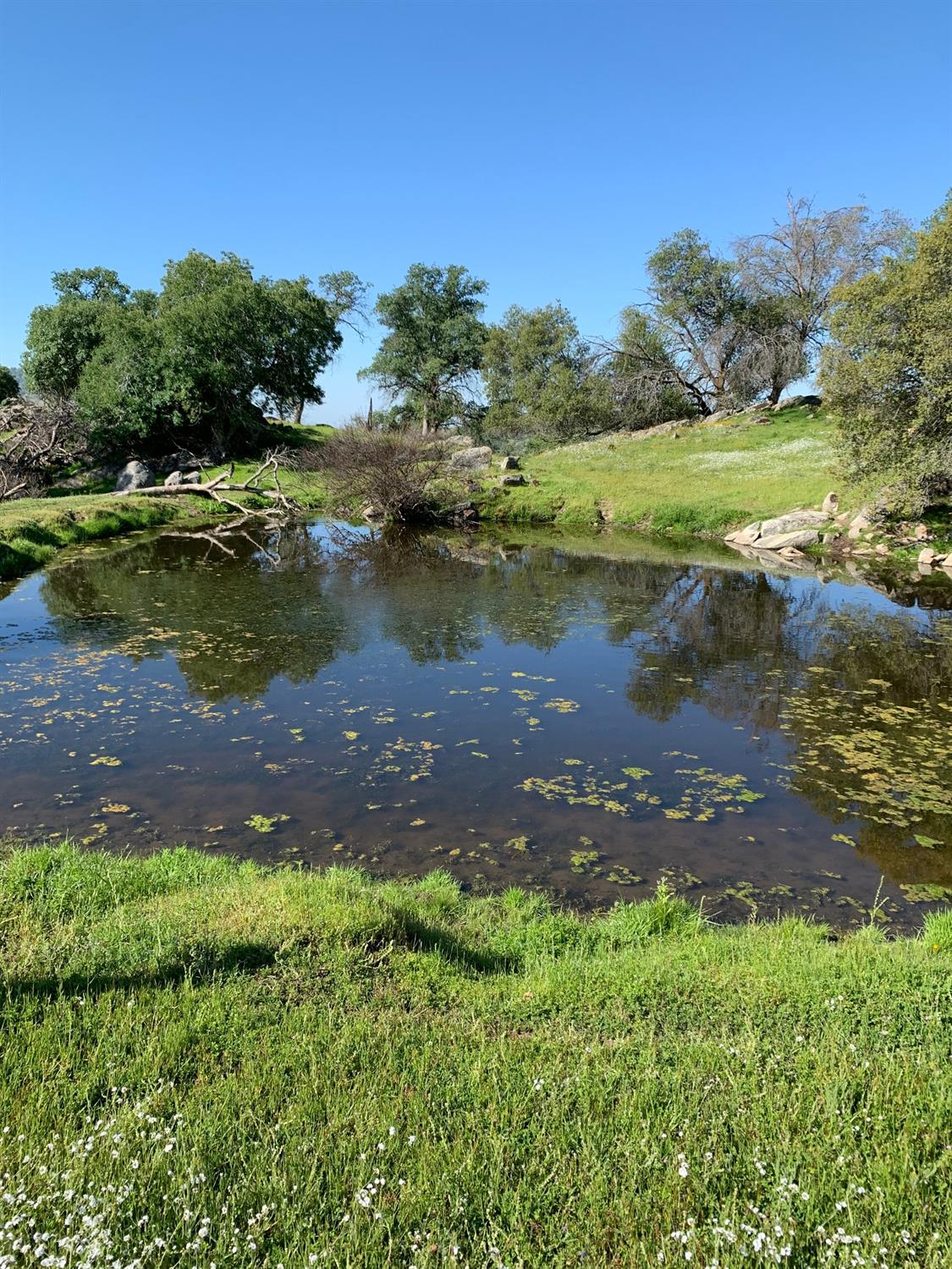 0 Trimmer Springs Road Sanger, CA 93657 - Photo 1 of 17 Gallery Image 1