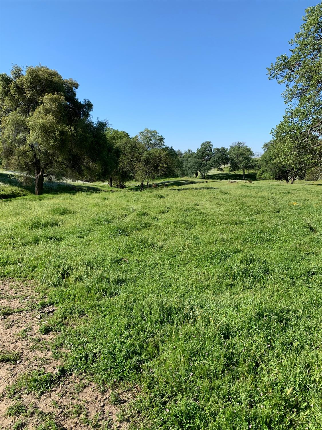 0 Trimmer Springs Road Sanger, CA 93657 - Photo 12 of 17 Gallery Image 12