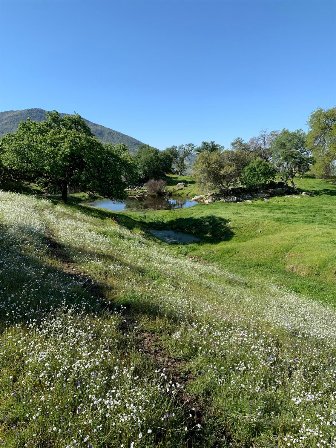 0 Trimmer Springs Road Sanger, CA 93657 - Photo 13 of 17 Gallery Image 13