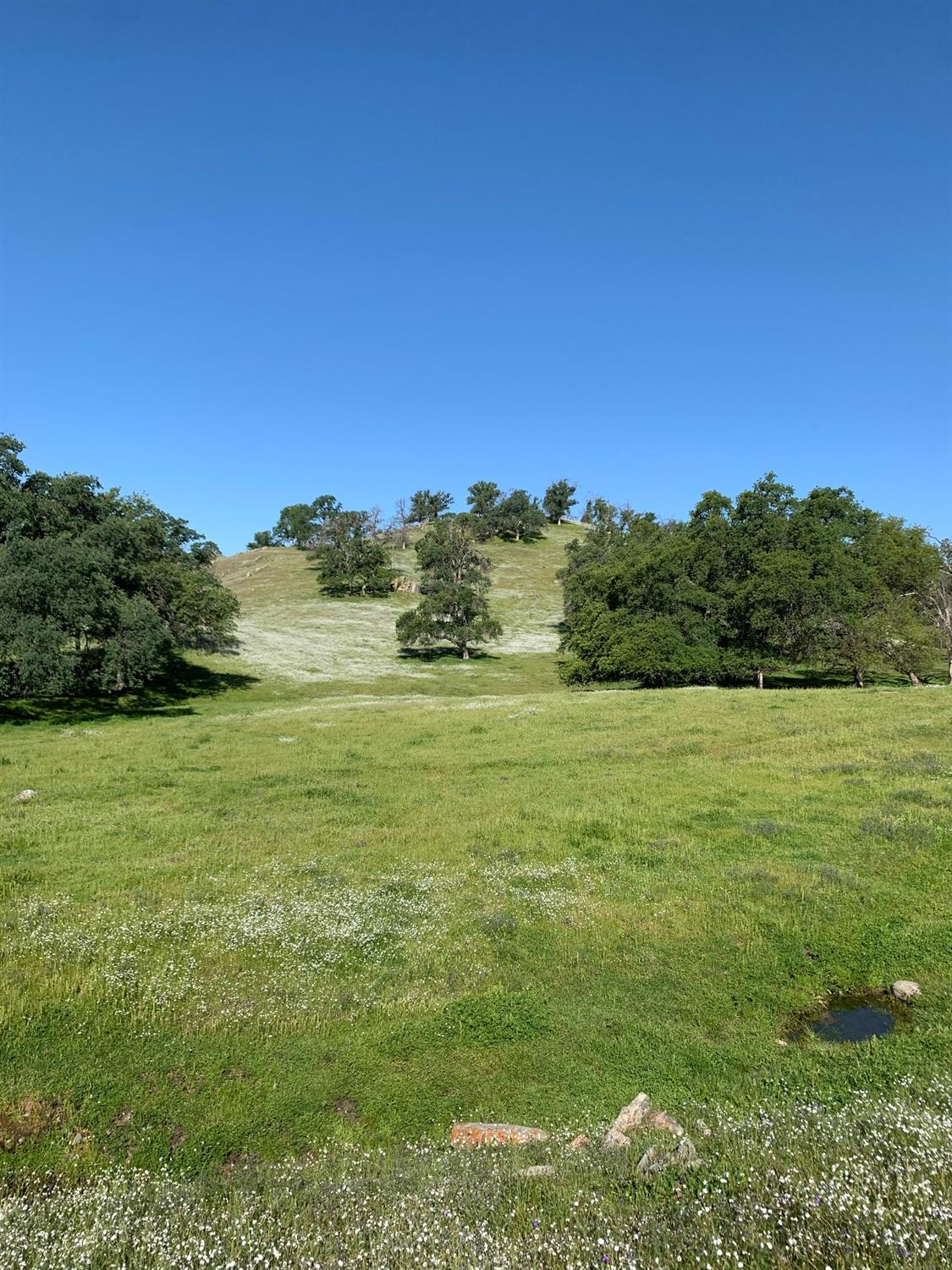 0 Trimmer Springs Road Sanger, CA 93657 - Photo 14 of 17 Gallery Image 14