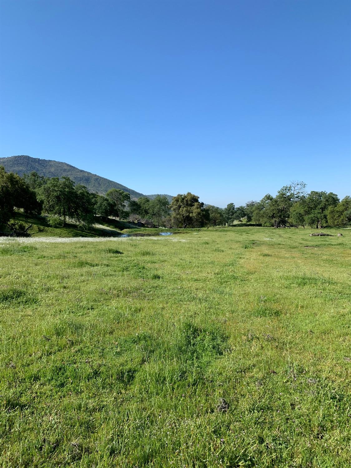 0 Trimmer Springs Road Sanger, CA 93657 - Photo 7 of 17 Gallery Image 7