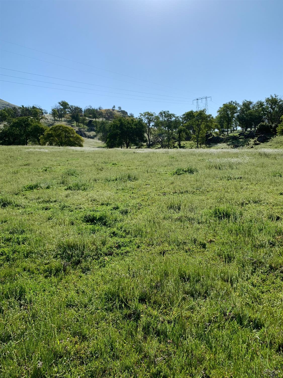 0 Trimmer Springs Road Sanger, CA 93657 - Photo 9 of 17 Gallery Image 9