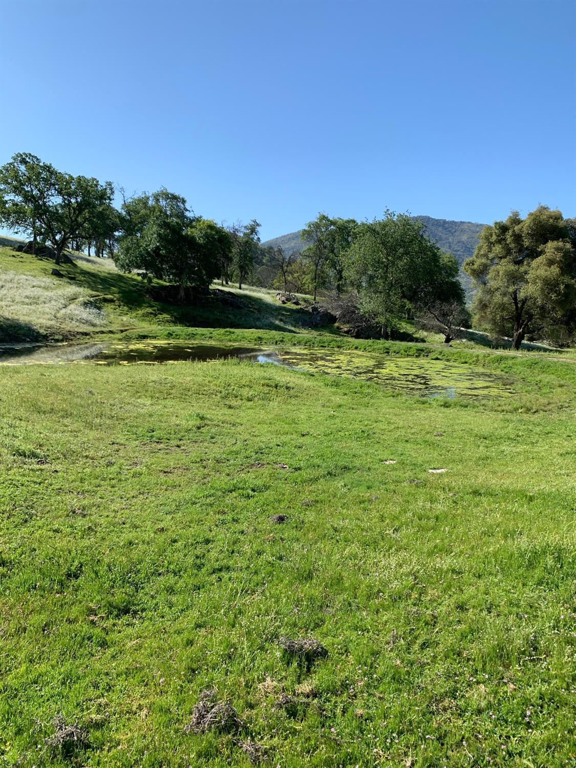 0 Trimmer Springs Road Sanger, CA 93657 - Photo 10 of 17 Gallery Image 10