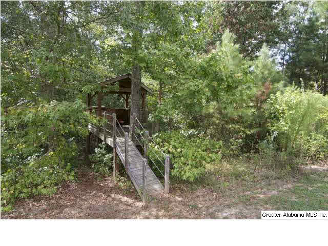 230 Beaver Ridge Circle Ashville, AL 35953 - Photo 28 of 30