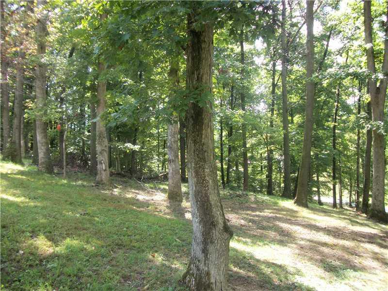 130 Carters Road Carmichaels, PA 15320 - Photo 3 of 15 Land/Lot.