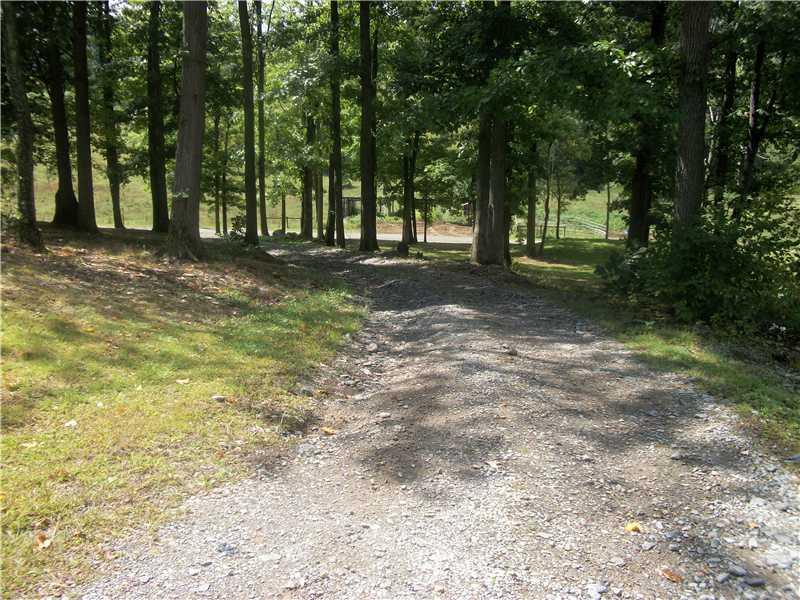 130 Carters Road Carmichaels, PA 15320 - Photo 4 of 15 View. VIEW OF DRIVEWAY