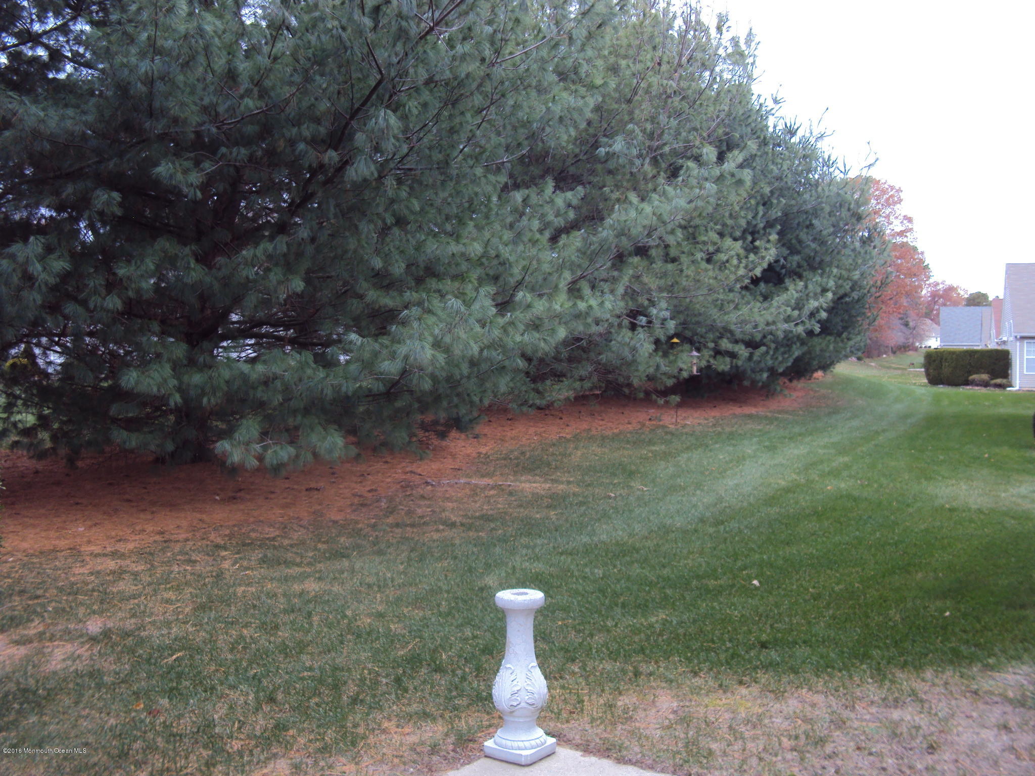 99 Clear Lake Road Whiting, NJ 08759 - Photo 27 of 27 DSC05673