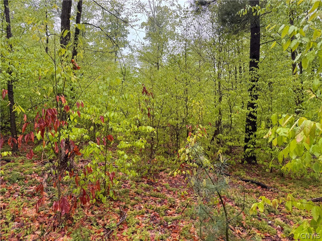 0 Hawkinsville Road Woodgate, NY 13494 - Photo 8 of 27