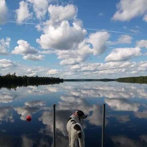 202 South Molunkus Road Mattawamkeag, ME 04459 - Photo 2 of 51 Sid's Overview of Lake Molunkus...