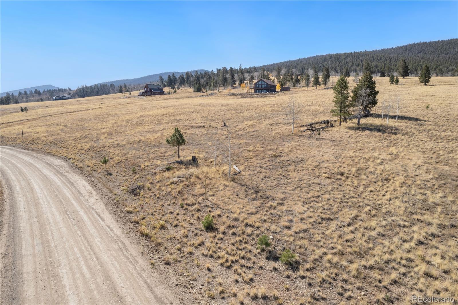 1505 Pitchfork Road Hartsel, CO 80449 - Photo 4 of 27