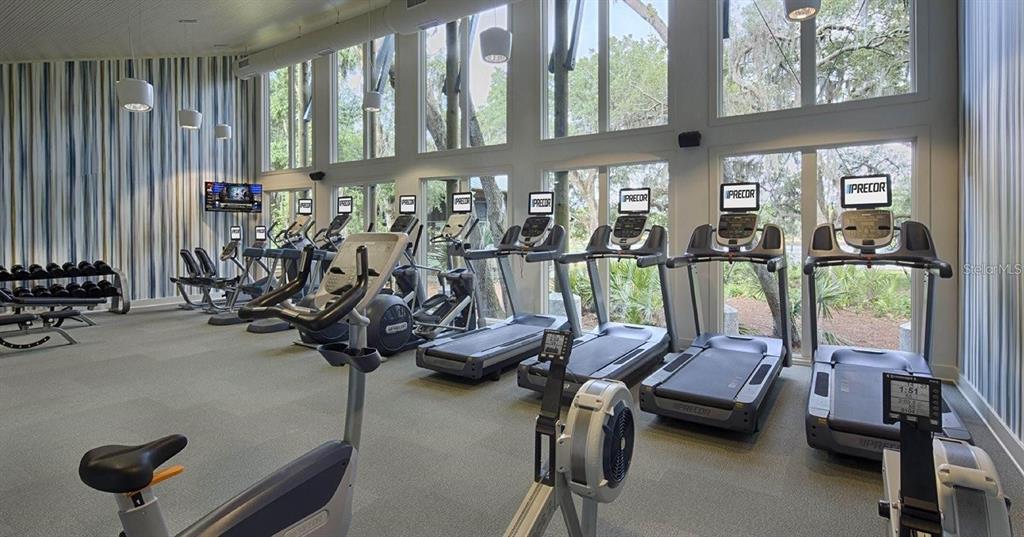 5703 Colony Glen Road Lithia, FL 33547 - Photo 51 of 56 a view of a room with gym equipment