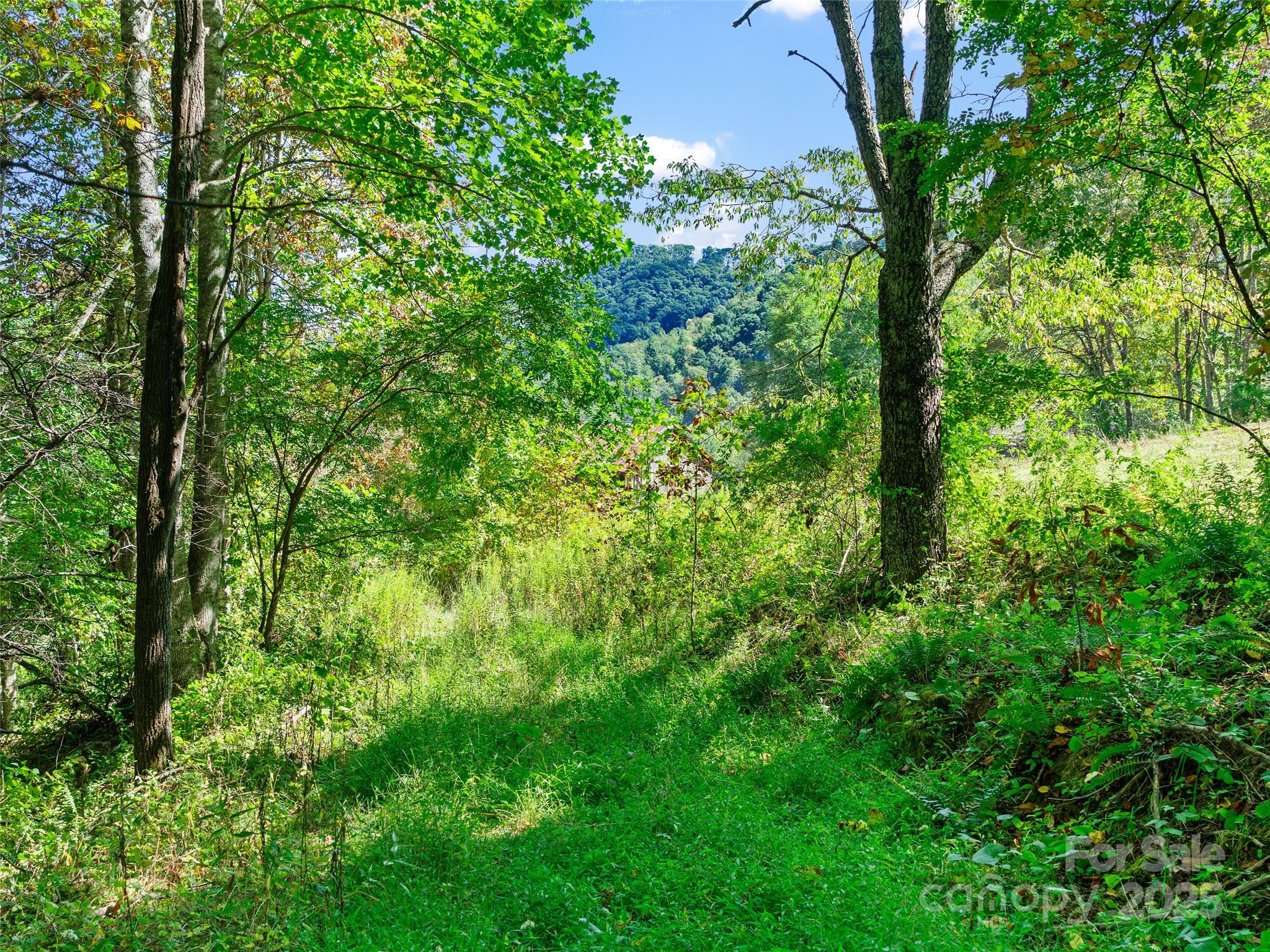 1099 Silas Branch Road Burnsville, NC 28714 - Photo 15 of 30