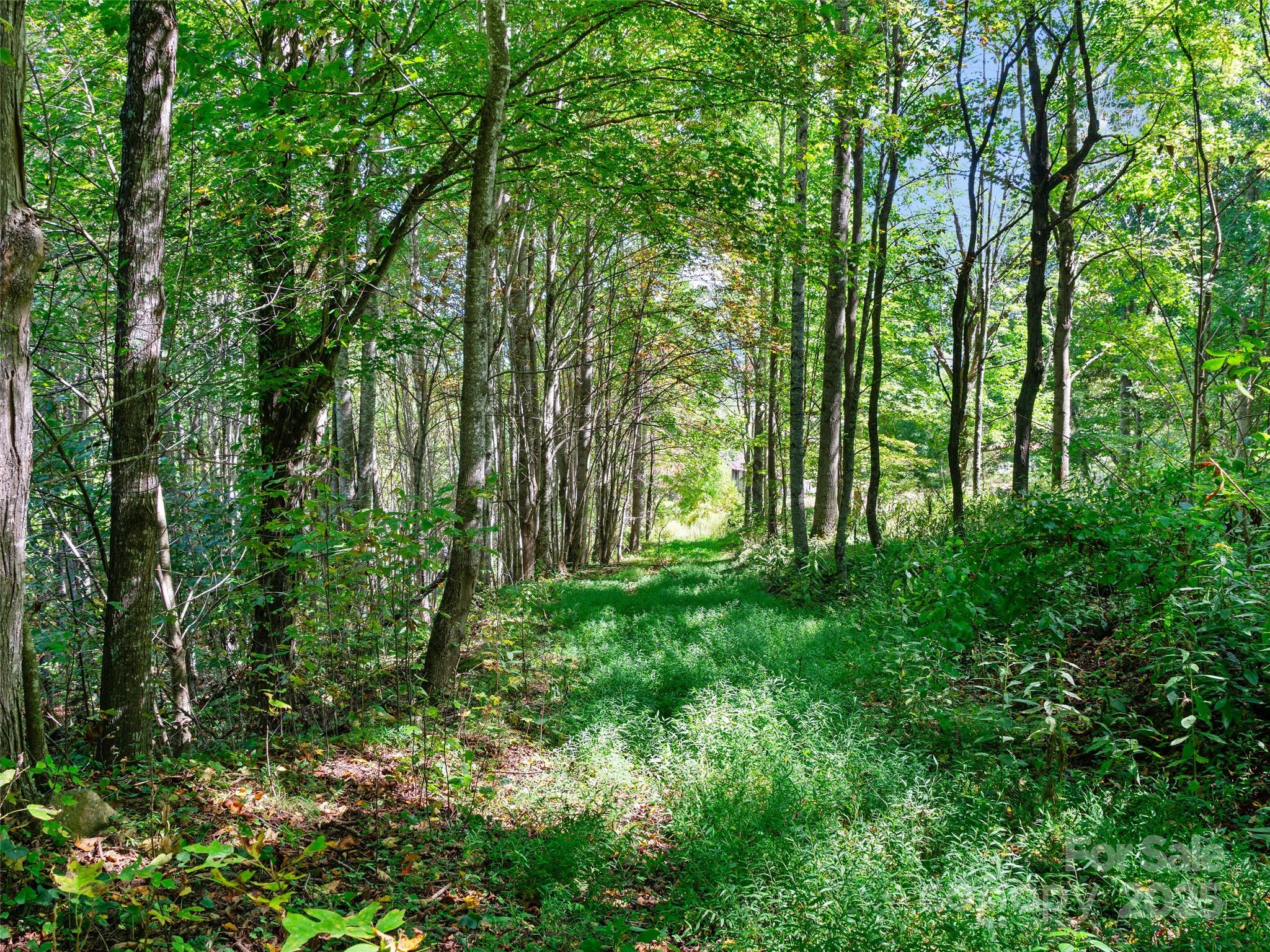 1099 Silas Branch Road Burnsville, NC 28714 - Photo 16 of 30