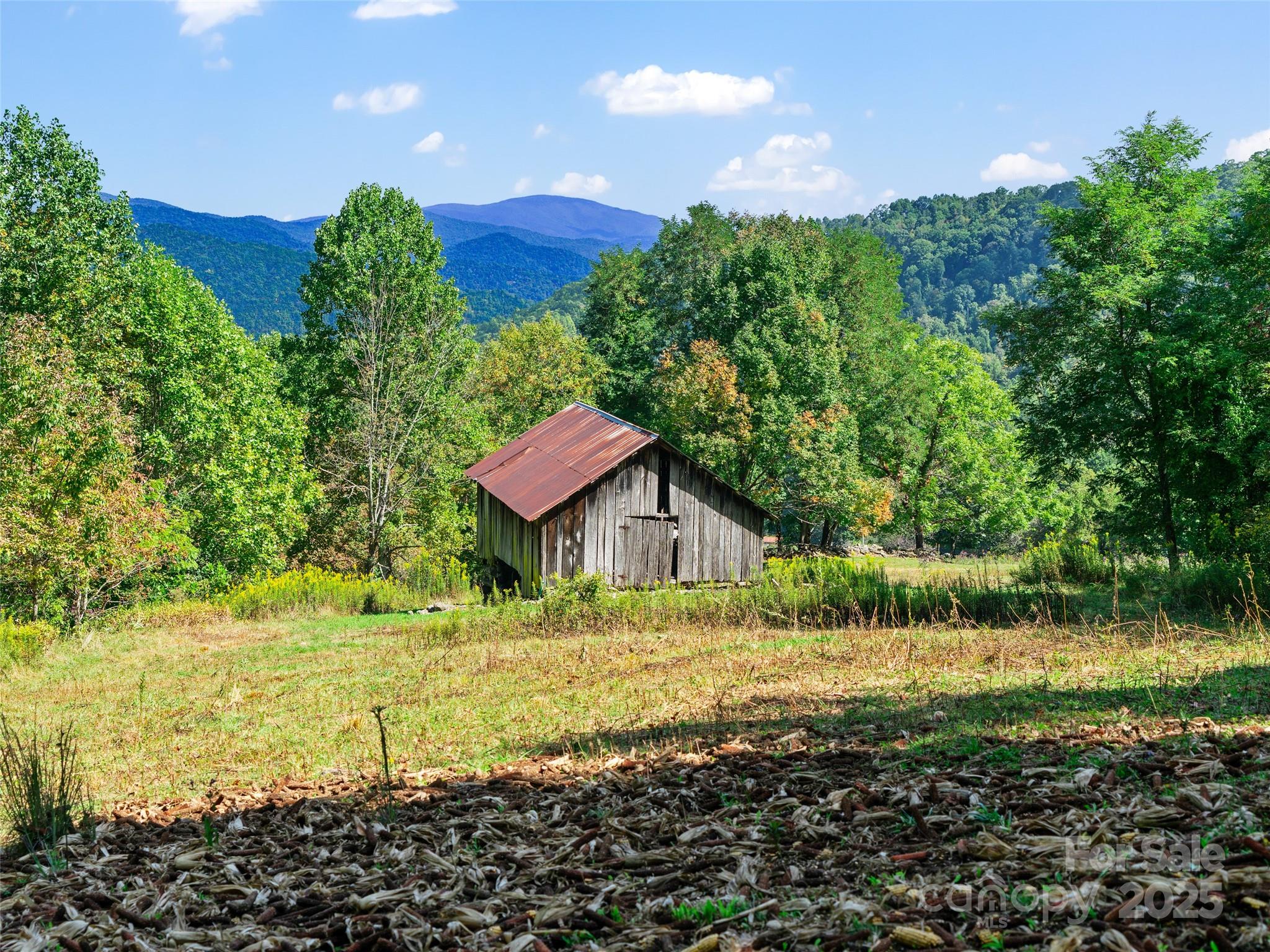 1099 Silas Branch Road Burnsville, NC 28714 - Photo 17 of 30
