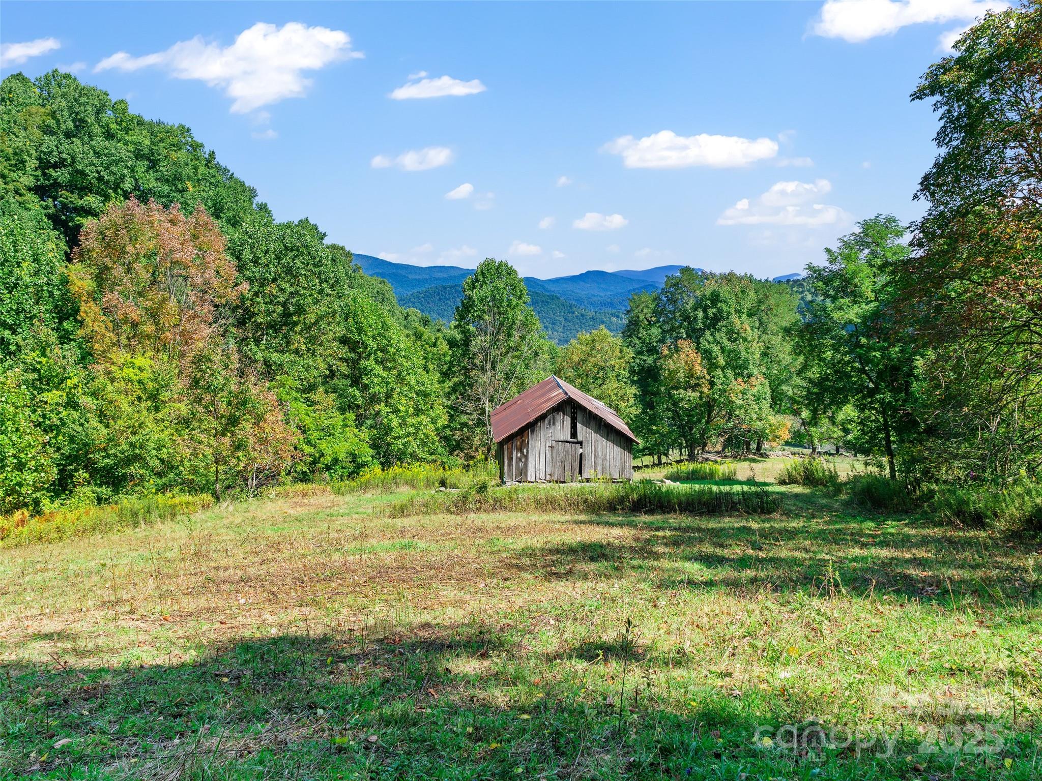 1099 Silas Branch Road Burnsville, NC 28714 - Photo 18 of 30