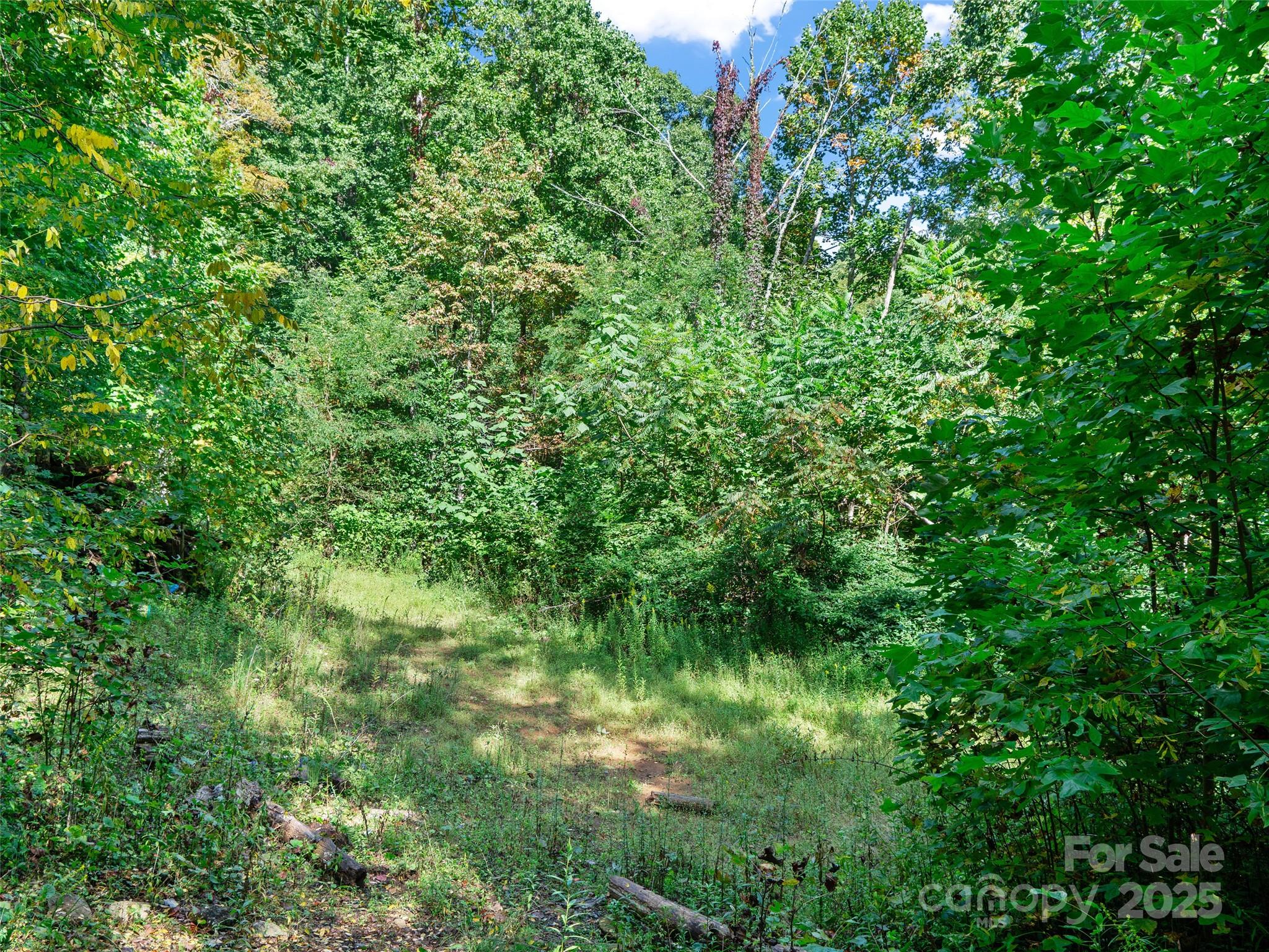 1099 Silas Branch Road Burnsville, NC 28714 - Photo 19 of 30